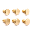 FLOYD ROSE Brass Fine Tuning Screws Set of 6